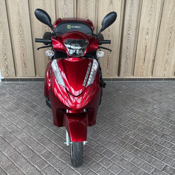 Showroom Fahrzeug - S1000 Bordeaux mit Blei-Akku