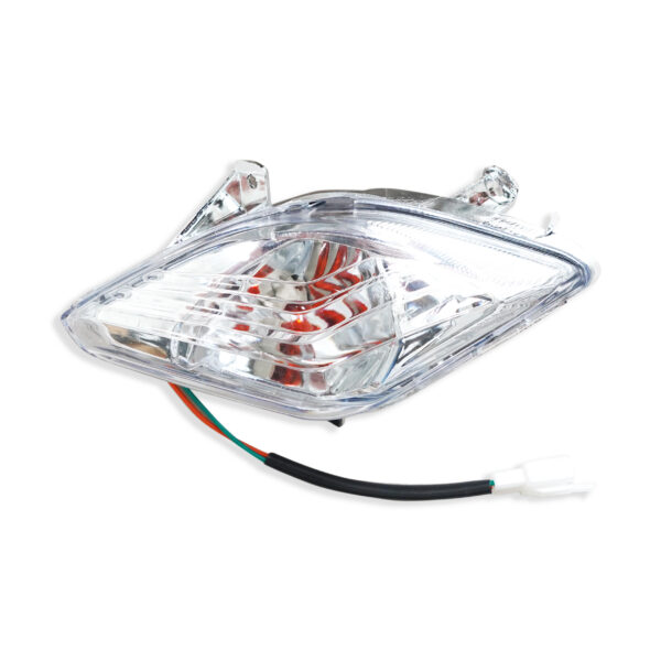 Blinker vorne (links)