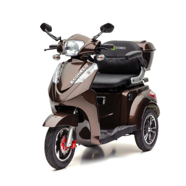 Showroom Fahrzeug - S1000 Braun